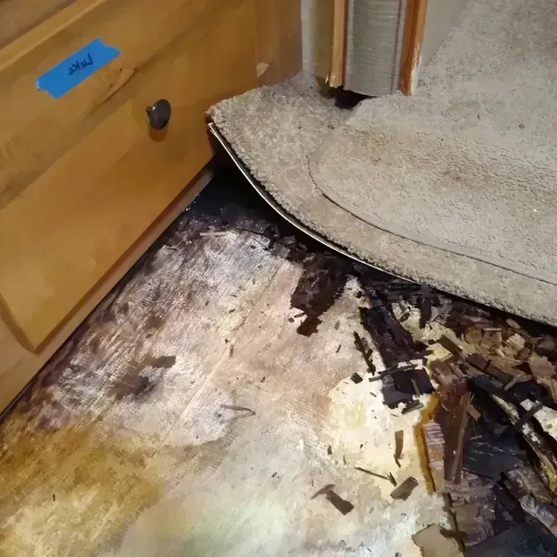 Wood Floor Water Damage in North Plainfield, NJ